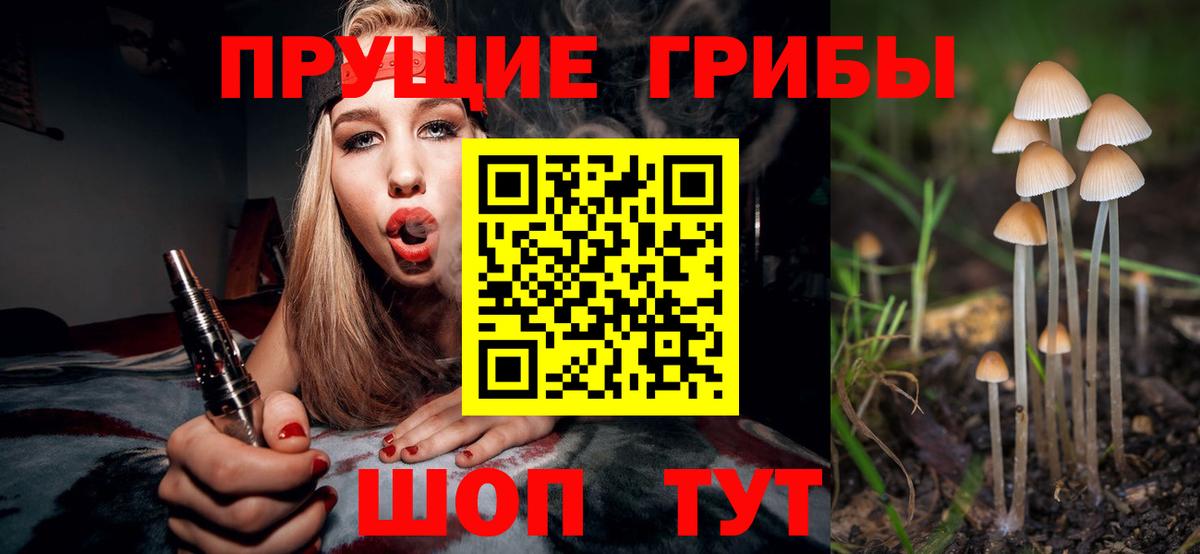 Галлюциногенные грибы мицелий Ковров
